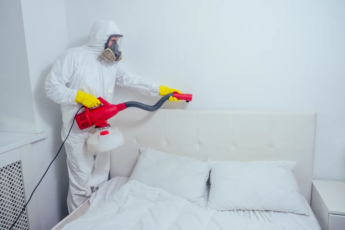 bed-bug-pest-control-phoenix-hero Bed bug pest control pro in protective gear inspecting a mattress seam in a Phoenix, Arizona bedroom.
