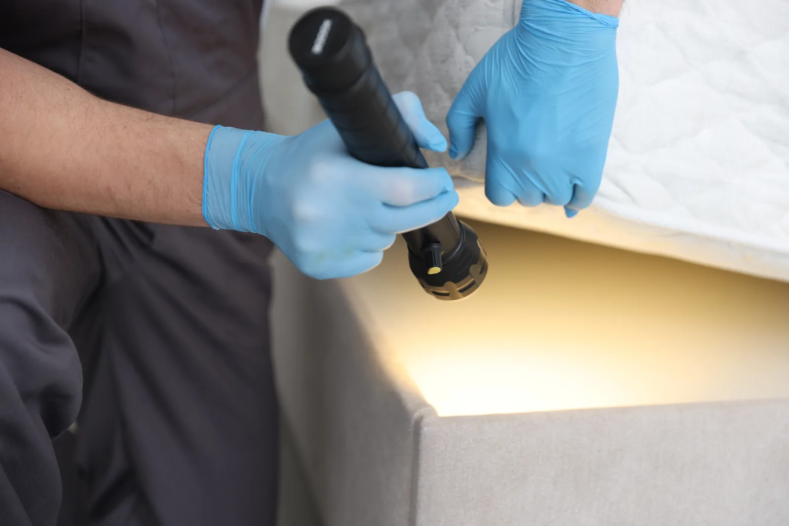 bed-bug-pest-control-phoenix-mattress-seam-inspection A pest control pro using a flashlight to inspect a mattress seam for bed bugs in a Phoenix home.