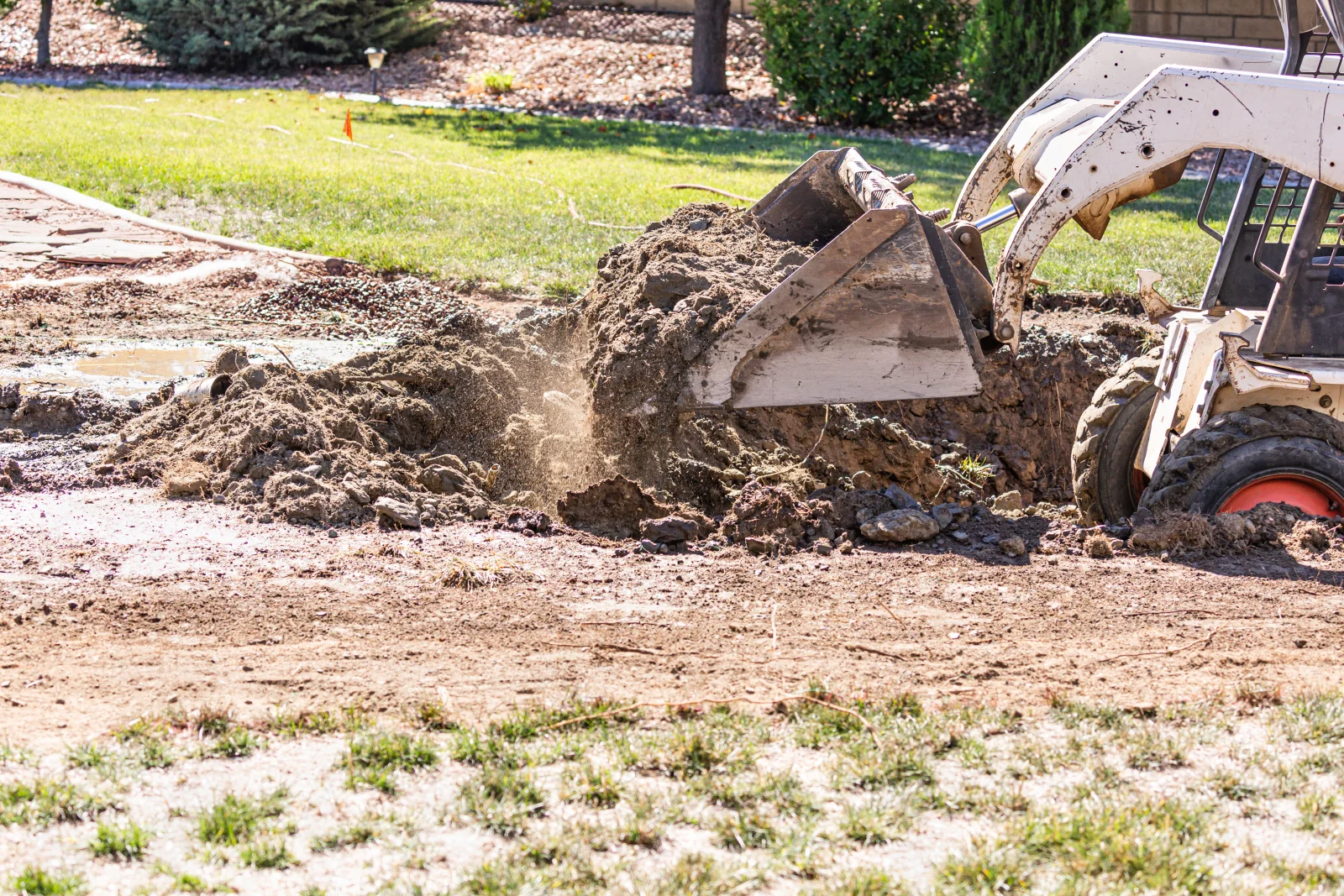 cactus-removal-phoenix-skid-steer-excavating-yard A skid-steer loader excavating a large root ball in a Phoenix, Arizona residential yard during a cactus removal and landscaping job.