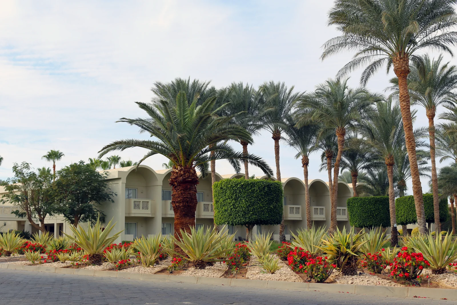 Palm trees, agave, and xeriscape planting along a Southwest-style commercial property in Phoenix, Arizona, an example of desert-adapted landscape maintenance.