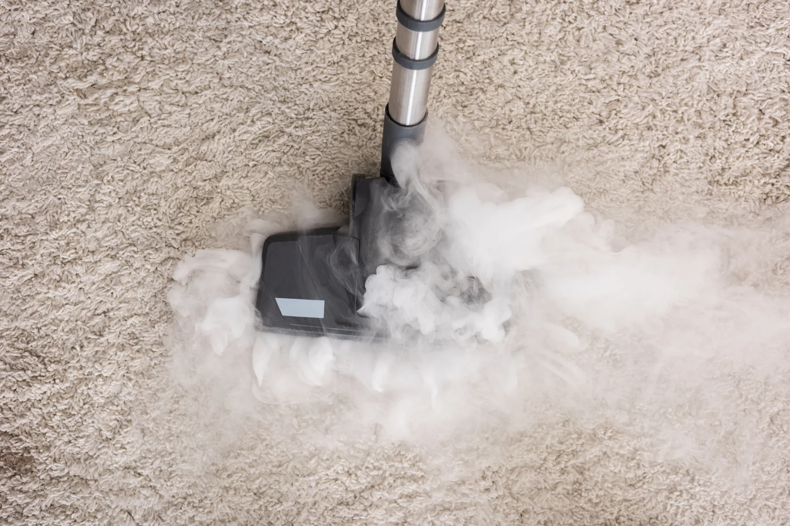 Close-up of non-toxic hot water extraction lifting dirt from carpet fibers during a Phoenix green carpet cleaning appointment.