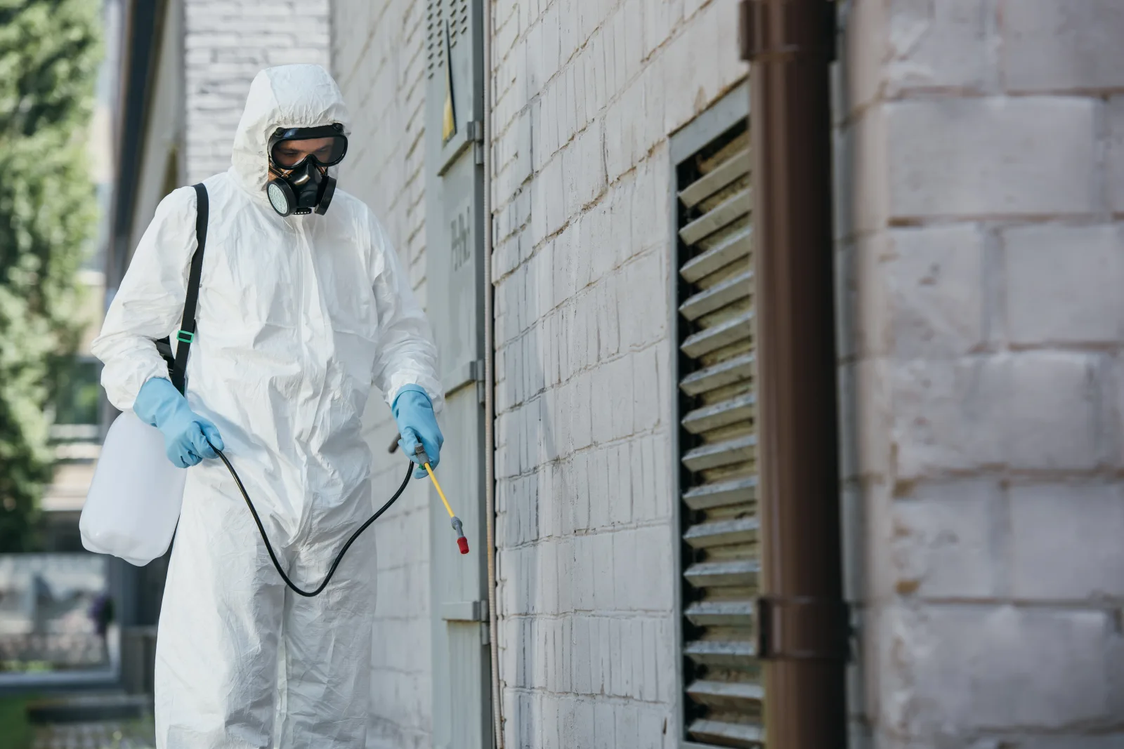 A pest control pro in full protective gear treating a hidden entry point during a hornet nest removal in Phoenix.