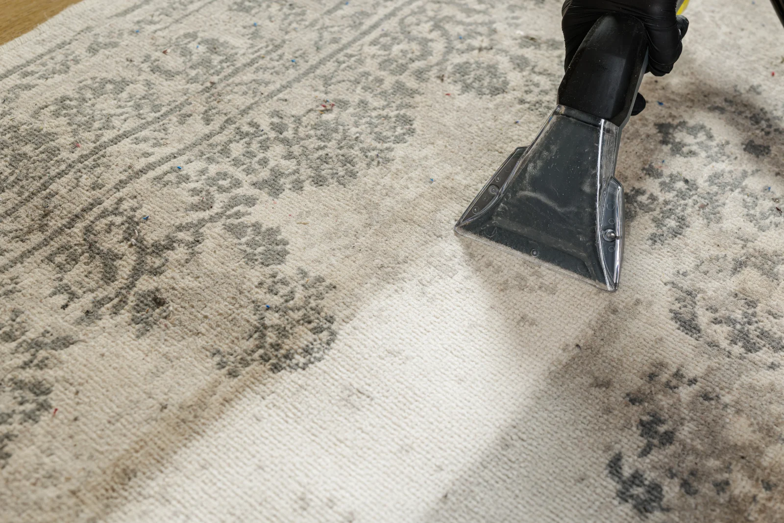 Deep extraction cleaning pulling embedded desert dust and grit from a wool oriental rug in a Phoenix home.