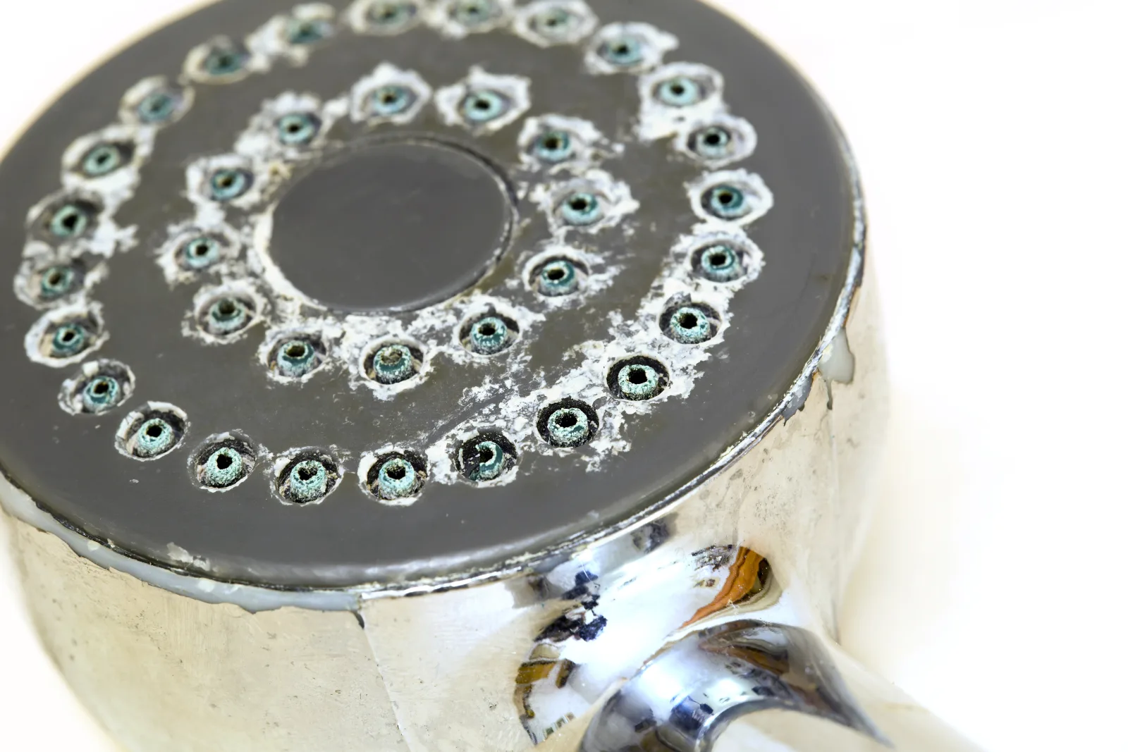 phoenix-plumbing-hard-water-scale A chrome showerhead clogged with white mineral scale buildup, the kind of hard-water damage common in Phoenix plumbing fixtures.