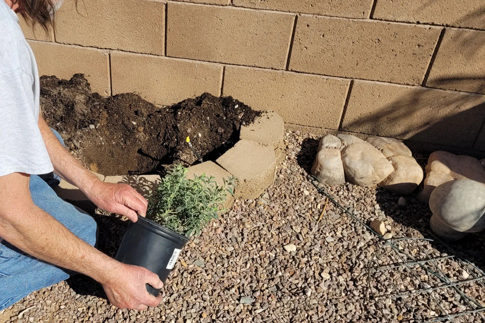 phoenix-snake-removal-sealing-gap-block-wall Phoenix snake removal — a Phoenix homeowner working near a gap at the base of a block wall, a common way snakes reach a yard from the surrounding desert.