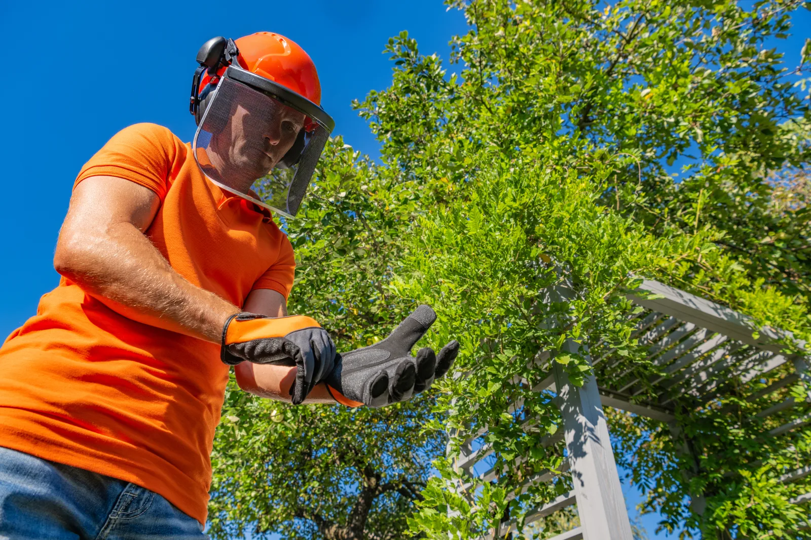 phoenix-tree-trimming-monsoon-canopy-thinning A tree trimming professional in a hard hat, face shield, and work gloves preparing to thin a backyard tree canopy in Phoenix ahead of monsoon season.