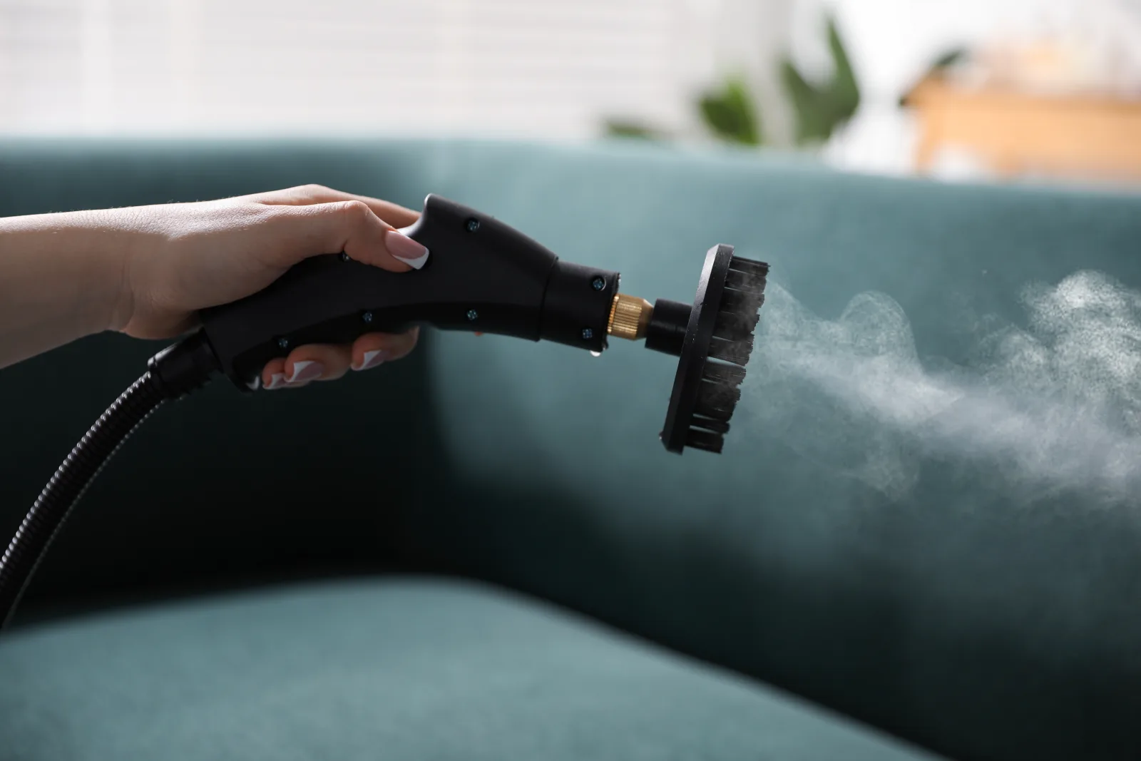 A steam cleaning attachment treating a teal fabric sofa cushion during an upholstery cleaning visit in Phoenix.