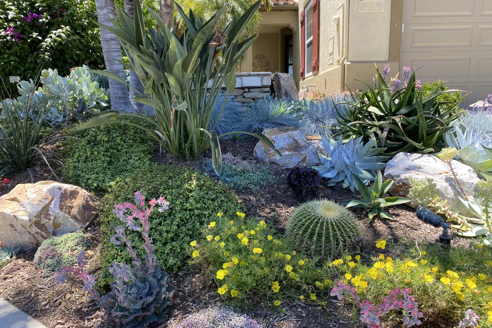 residential-landscape-architects-phoenix-finished-desert-yard-design Residential landscape architects in Phoenix, Arizona — a completed desert xeriscape yard design with agave, boulders, and drought-tolerant flowering plants.