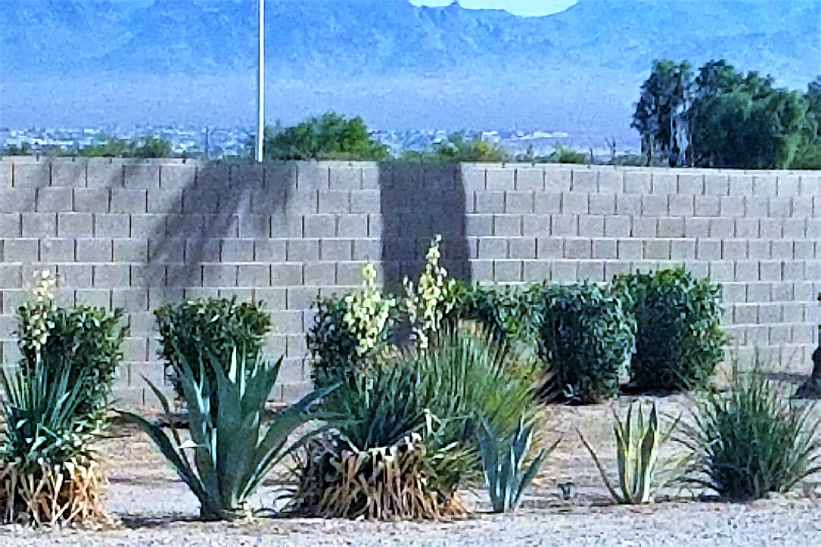 Retaining wall installation in Phoenix, Arizona — a finished block retaining wall backed by desert-adapted landscaping.