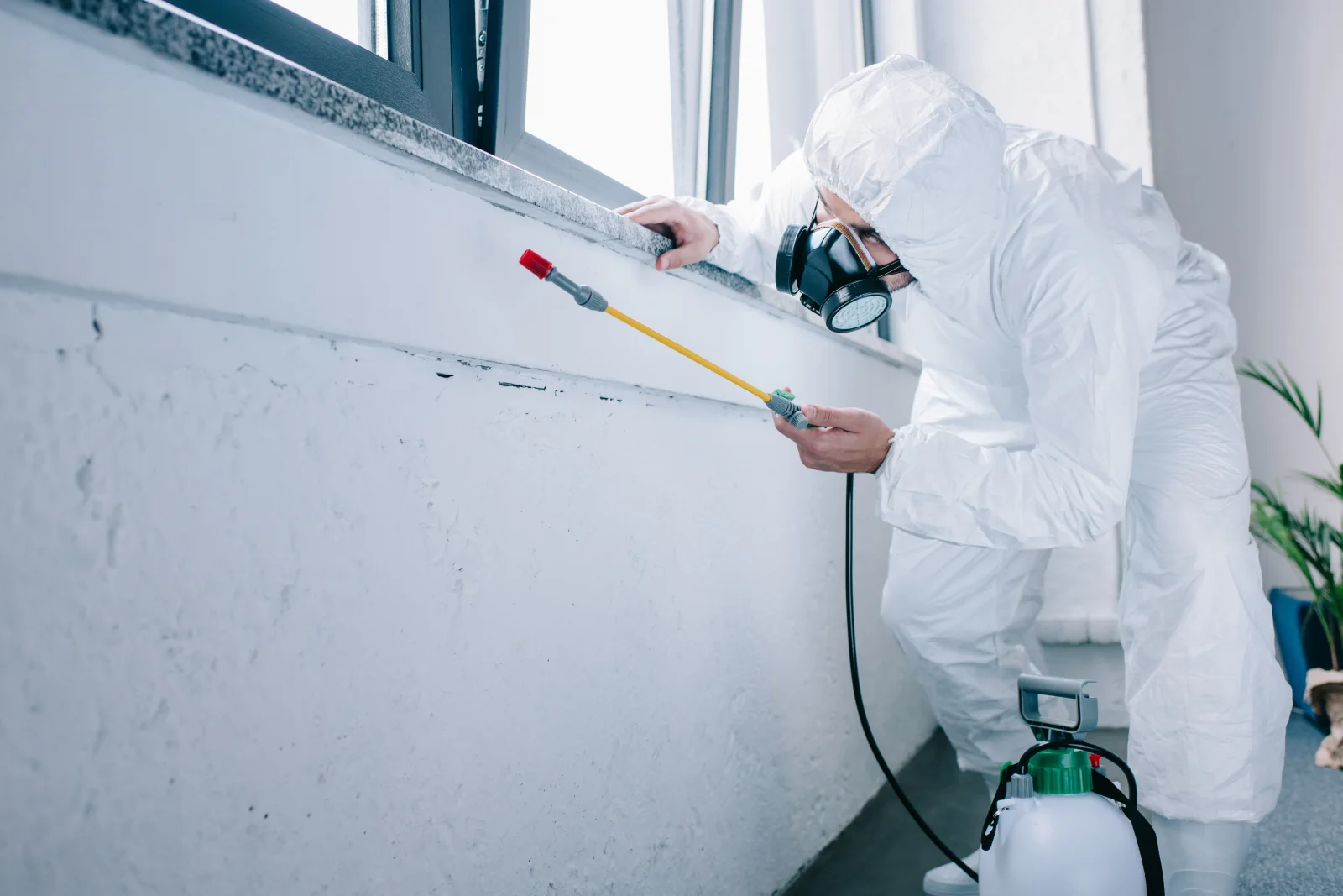 Silverfish control in Phoenix, Arizona — a pest control technician in a full respirator and coveralls applying a targeted crack-and-crevice treatment along a window sill.