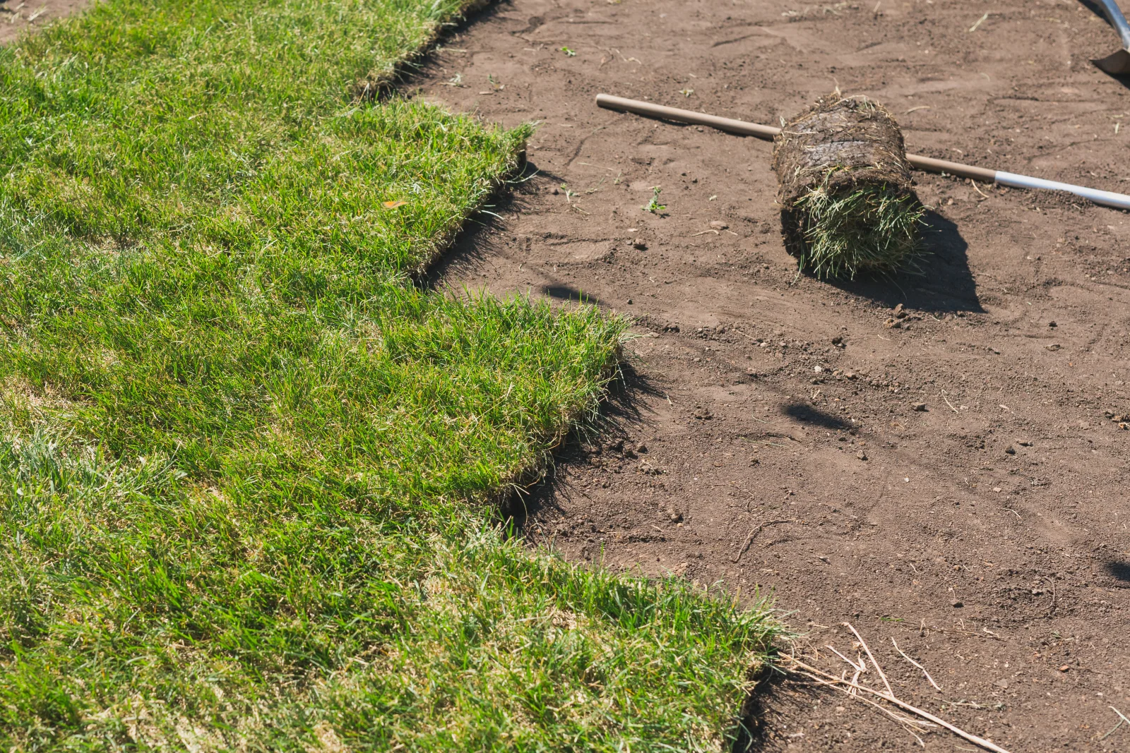 A crisp fresh-cut edge where newly laid sod meets bare graded soil, showing the clean seam and prep work a Phoenix sod installer leaves behind.