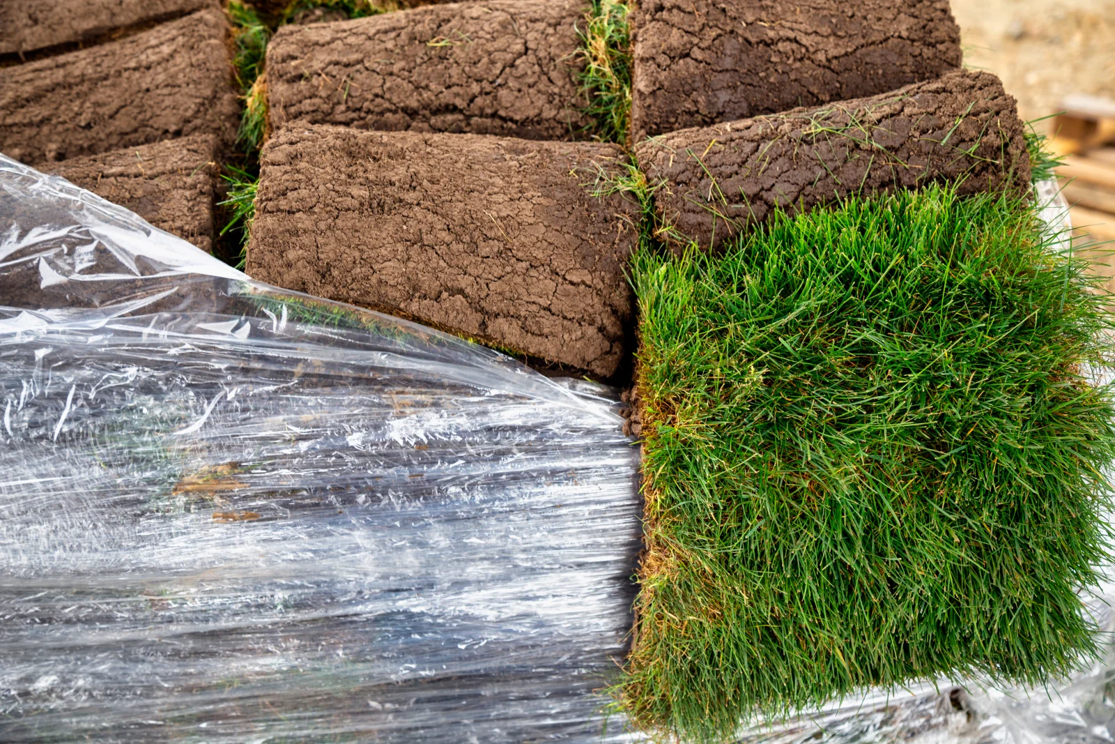 Freshly cut sod pallets wrapped and staged for delivery, the kind of Bermuda grass stock a Phoenix sod installer sources for a new desert lawn.
