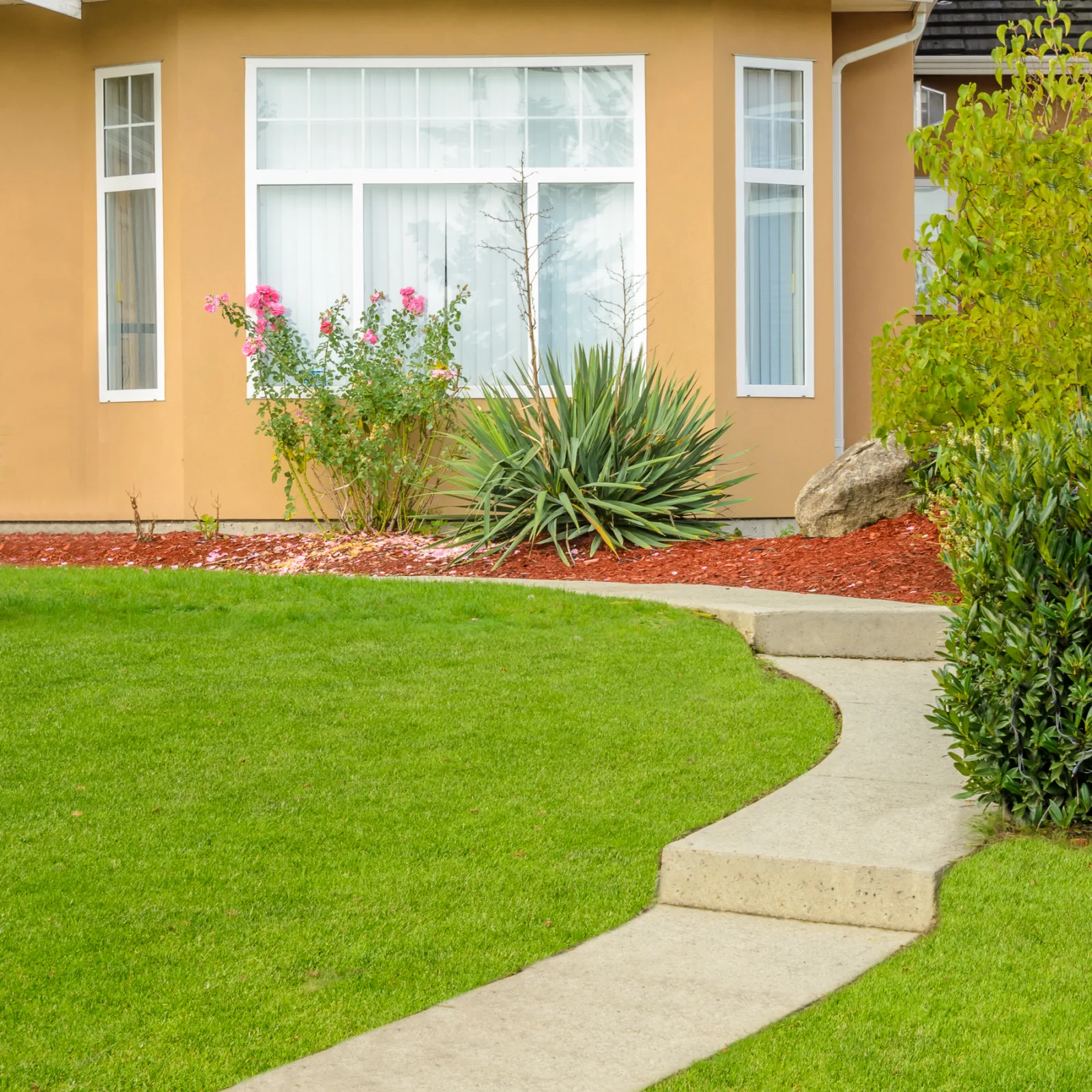 synthetic-grass-phoenix-backyard-install Synthetic grass in Phoenix, Arizona — a freshly installed backyard lawn on a sunny desert afternoon.