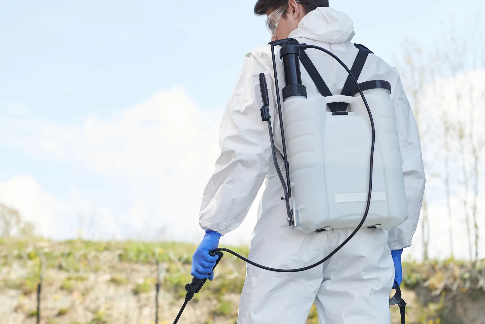 wasp-removal-phoenix-safety A vetted wasp removal pro in protective gear treating a hidden nest at a Phoenix property, the trained help to wait for instead of approaching an active nest.
