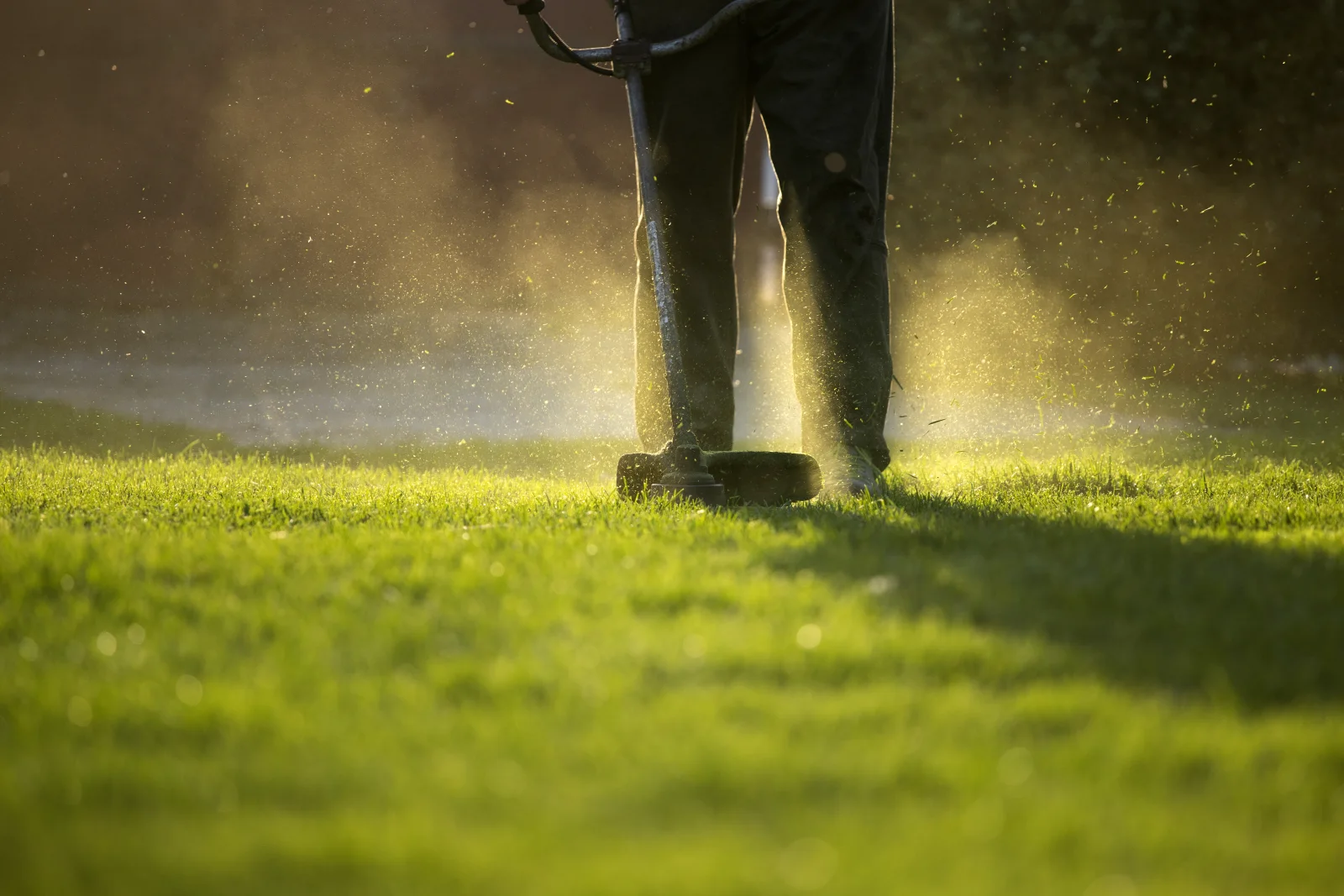 A technician applying pre-emergent weed control treatment along a residential lawn edge in Phoenix, Arizona.