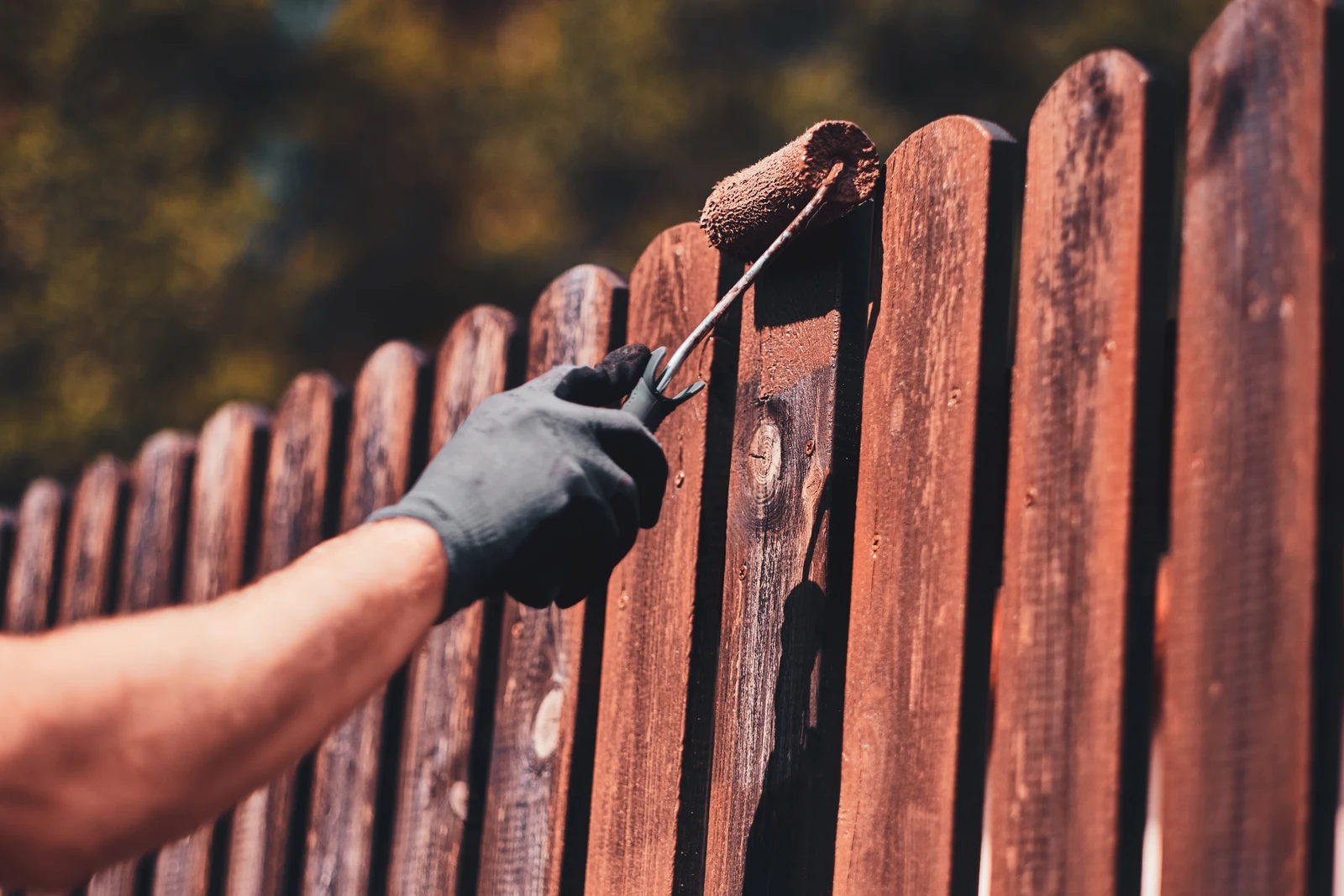 wood-staining-phoenix-fence-staining A gloved hand rolling dark wood stain onto a cedar fence panel in a Phoenix backyard.